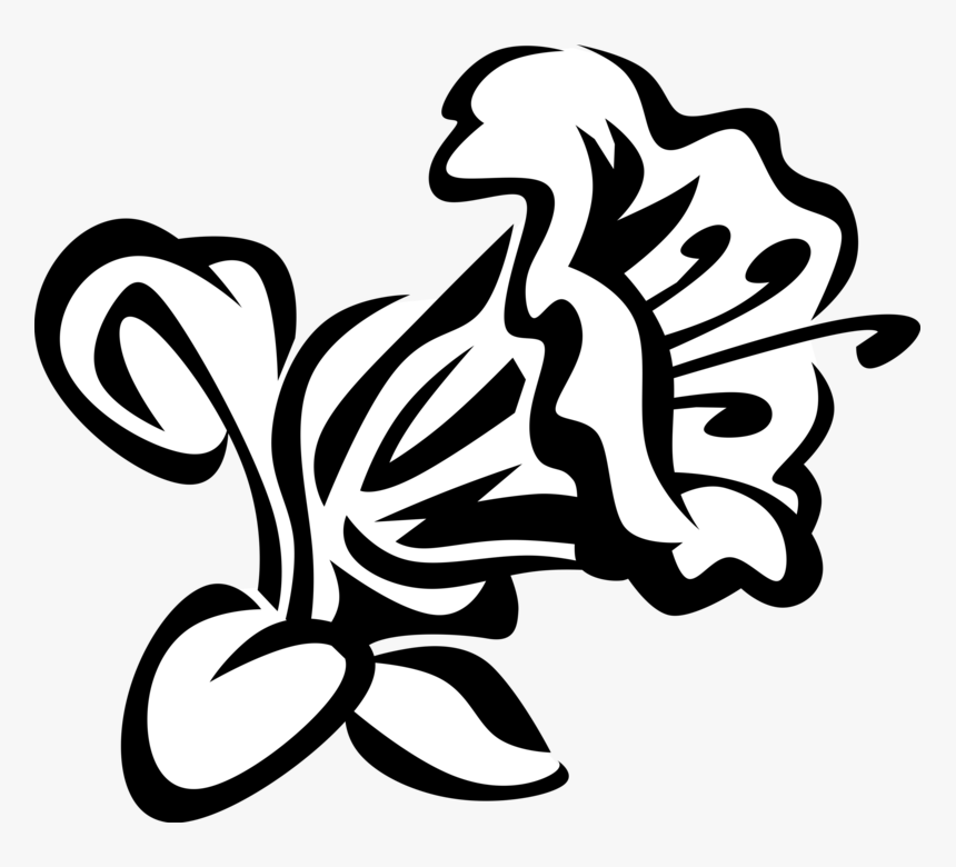 Vector Illustration Of Rhododendron Azaleas Botanical - Rhododendron Vektor, HD Png Download