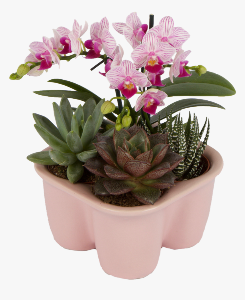 Flowerpot, HD Png Download