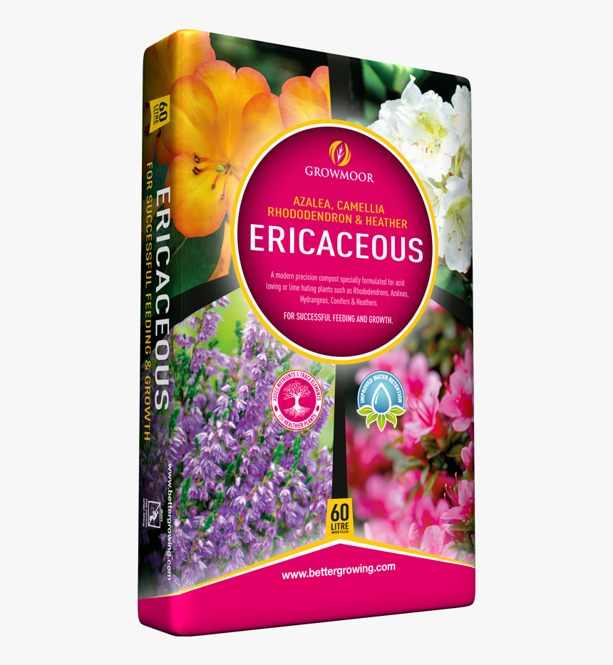 Ericaceous Compost - Evergreen Rose, HD Png Download