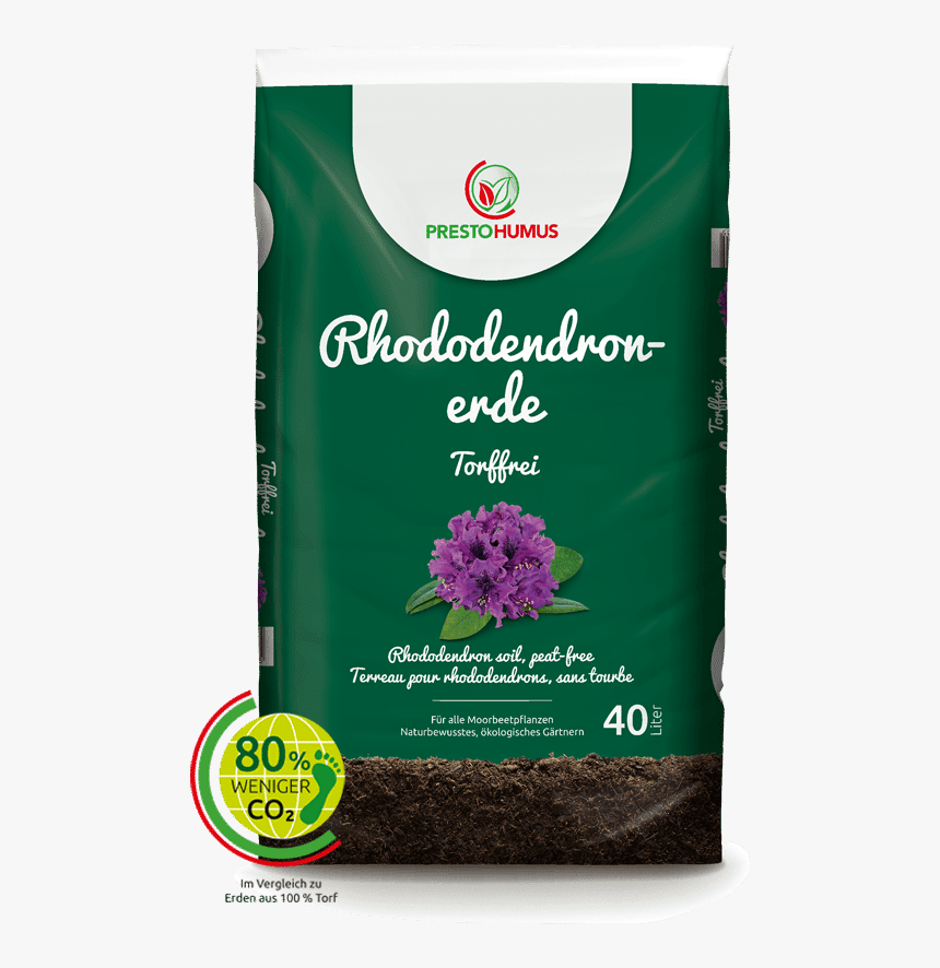 Verbena, HD Png Download