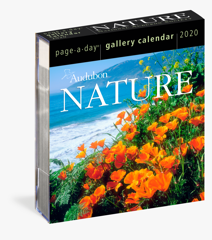 Cover - Page A Day Calendar 2020, HD Png Download