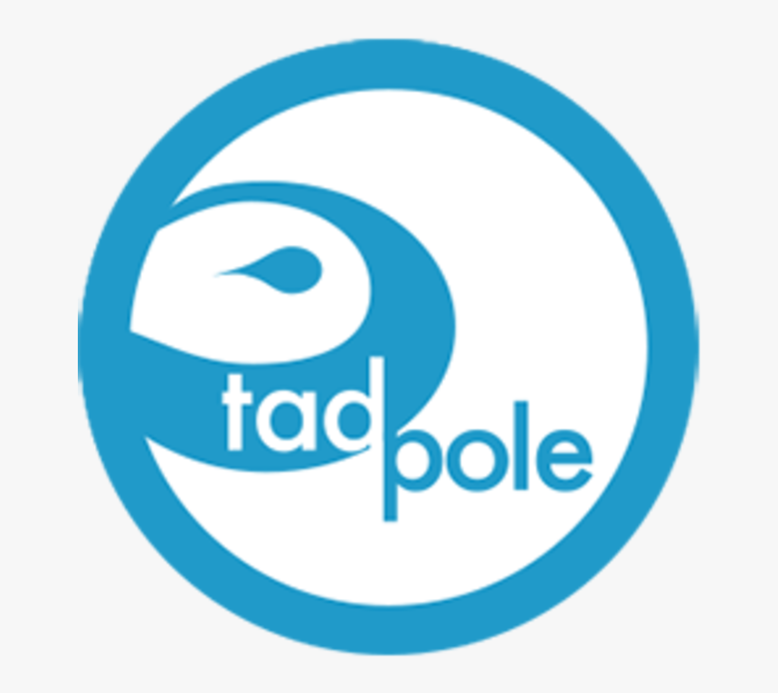 Transparent Tadpole Png - Mobiles, Png Download