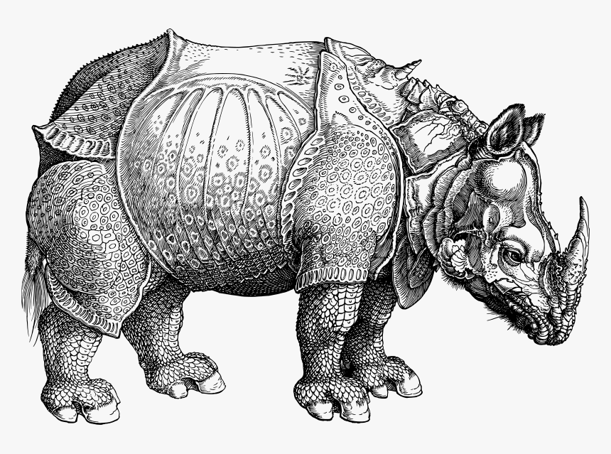 Rhinoceros - Rhinoceros Horn Is Made Of Hair, HD Png Download