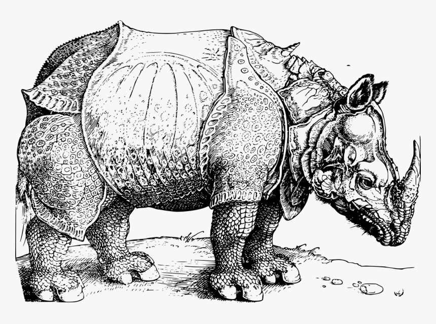 10 Facts About To-be Extinct Northern White Rhinoceros - Albrecht Durer, HD Png Download