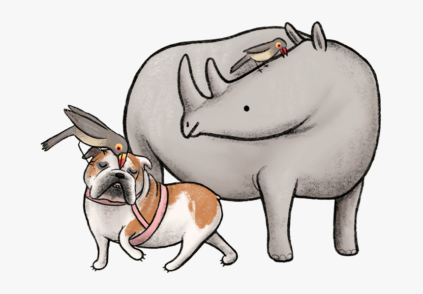 Lulu Is A Rhinoceros , Png Download - Cartoon, Transparent Png
