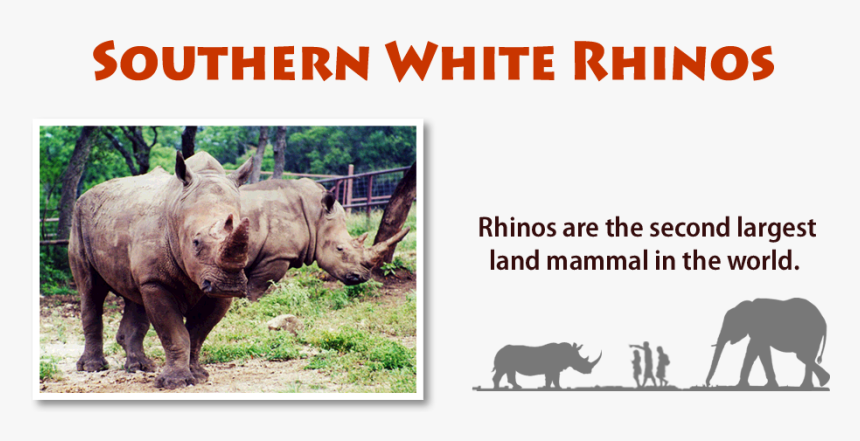 Blackberry App World Icon, HD Png Download