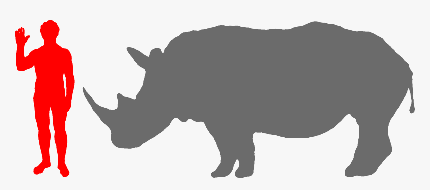 Rhino Clipart Big 5 - Moeritherium, HD Png Download