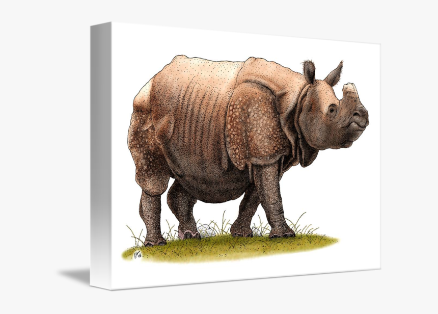 Transparent Rhinoceros Clipart - Indian Rhinoceros, HD Png Download