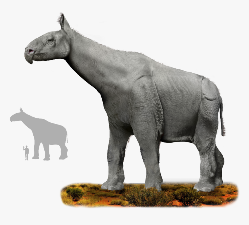 Animal Ancestors, HD Png Download