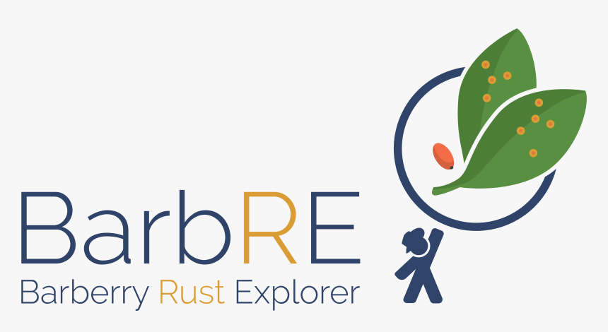 Barberry Rust Explorer, HD Png Download
