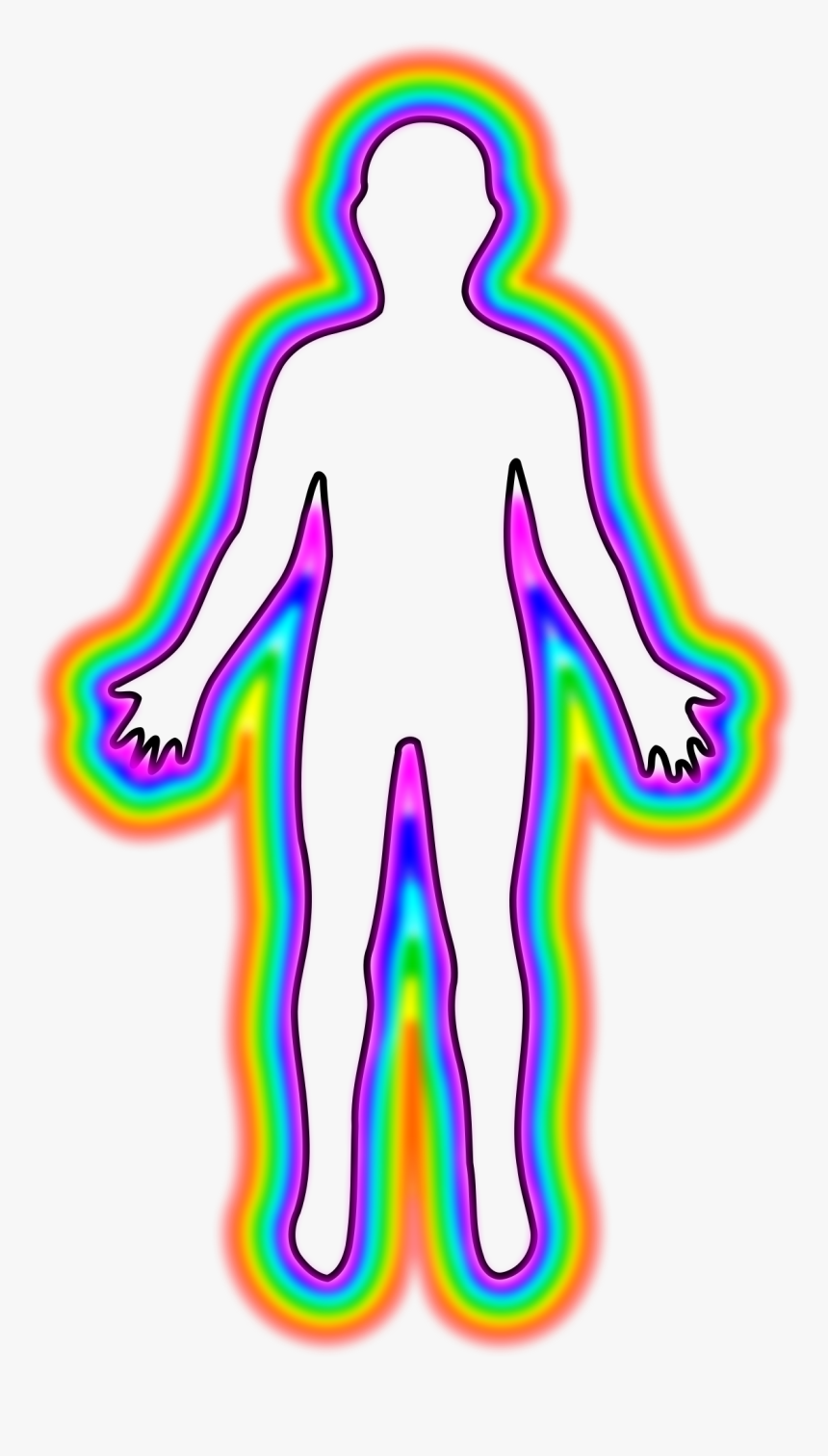 Outline Of Body, HD Png Download