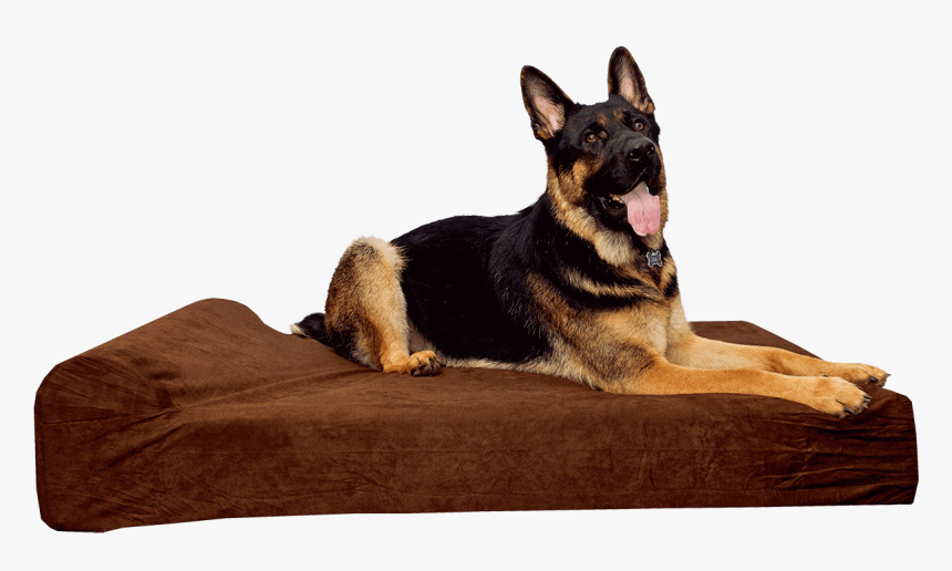 Dog Bed, HD Png Download