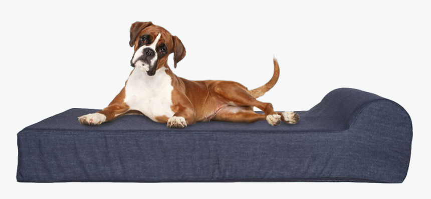 Dog On Bed - Memory Foam Orthopedic Dog Bed, HD Png Download