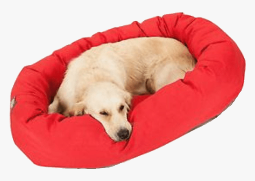 Transparent Dog Bed Clipart - Companion Dog, HD Png Download