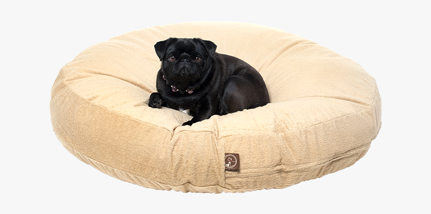 Comfort, HD Png Download