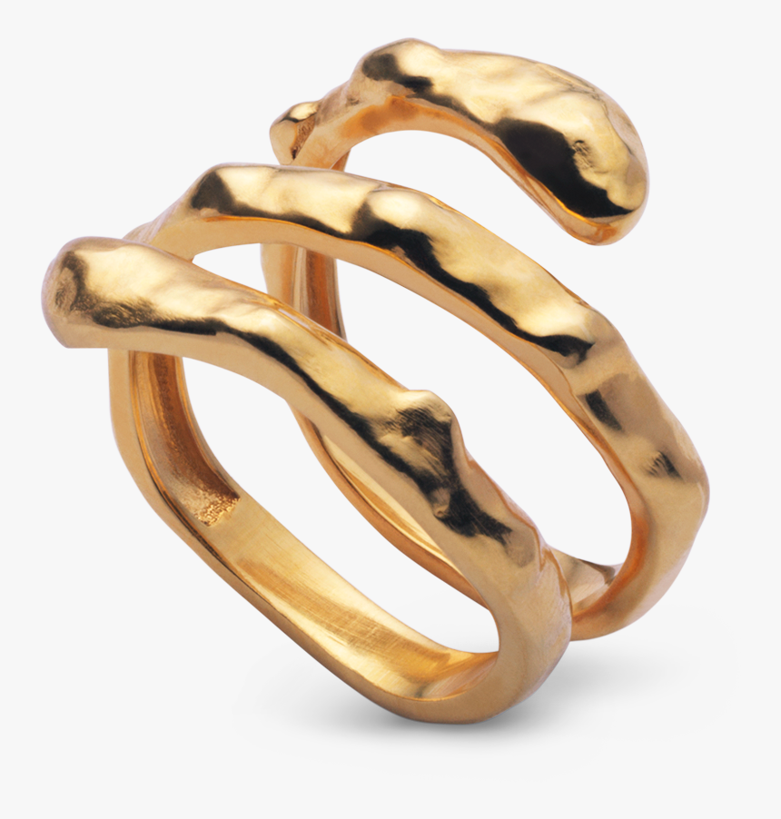 Anya Ring Maanesten, HD Png Download