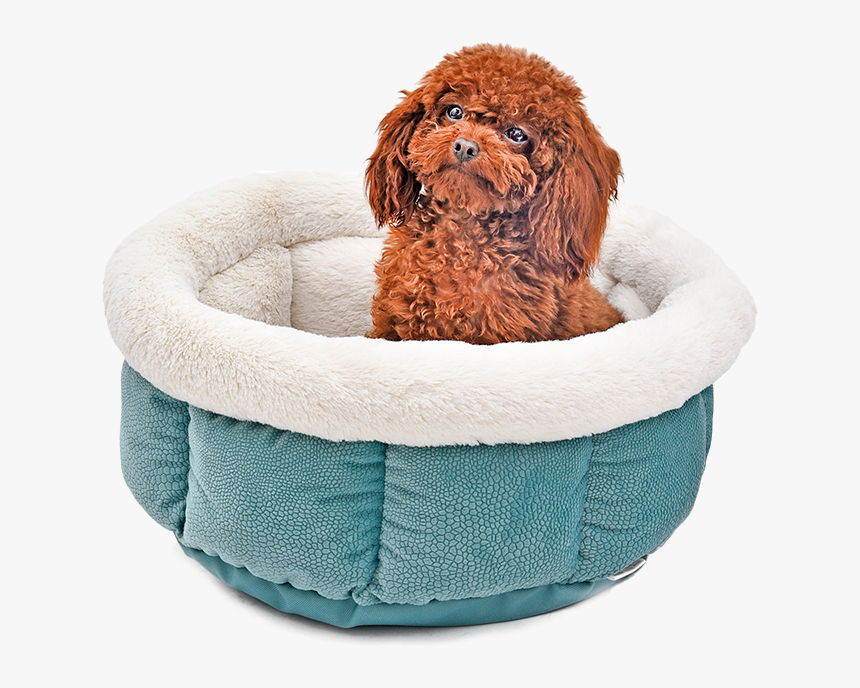Snug Bug Pet Bed - Cat Bed, HD Png Download