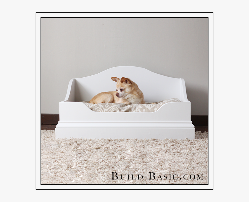 Cardigan Welsh Corgi, HD Png Download