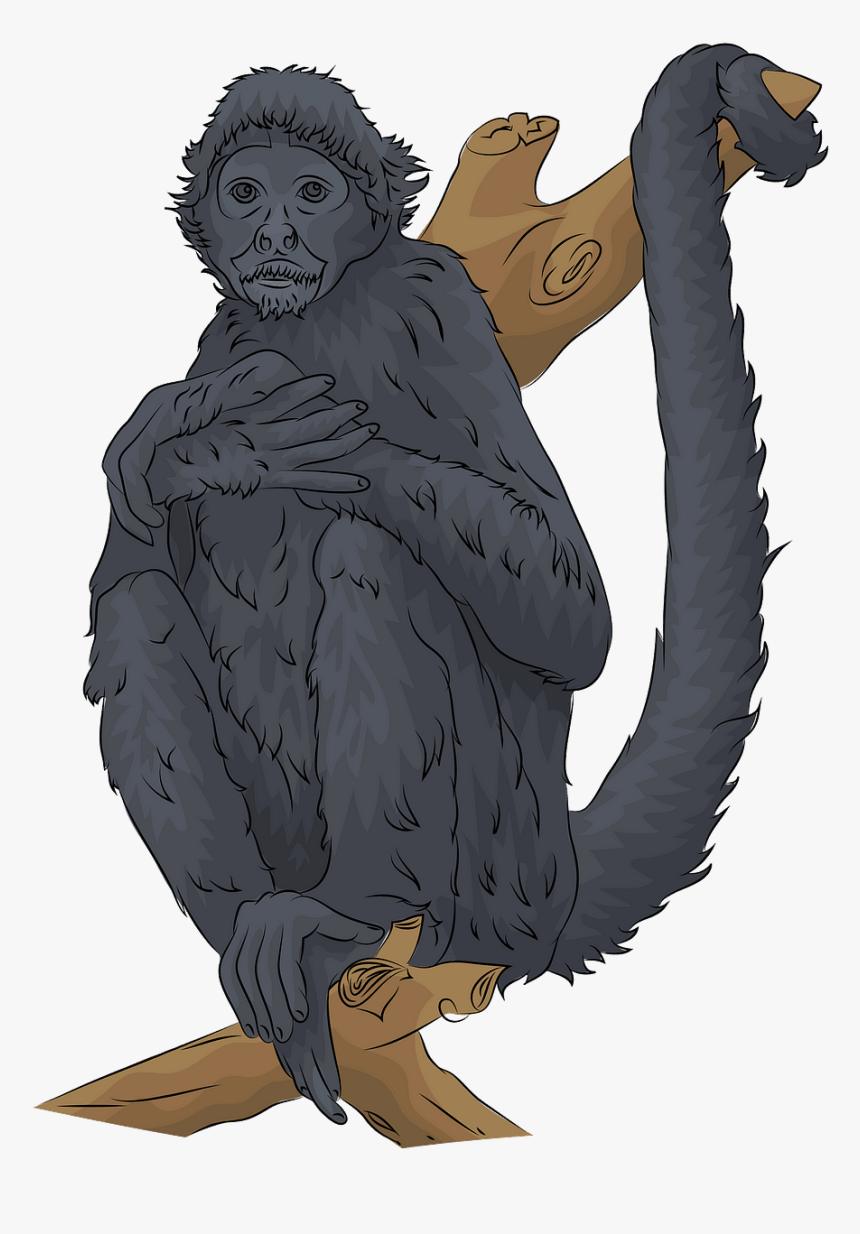 Cartoon, HD Png Download