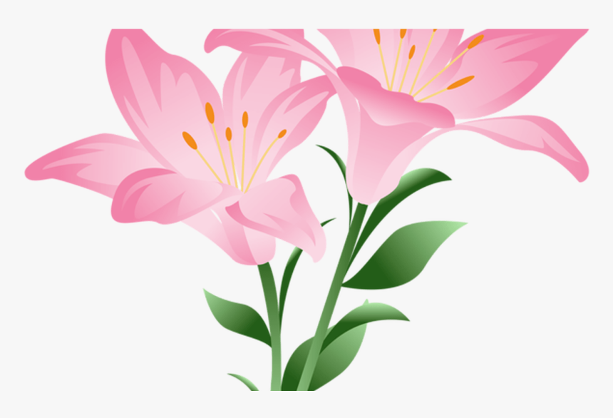 Daisy Clipart Living Thing, Daisy Living Thing Transparent - Pink Lily Flower Png, Png Download