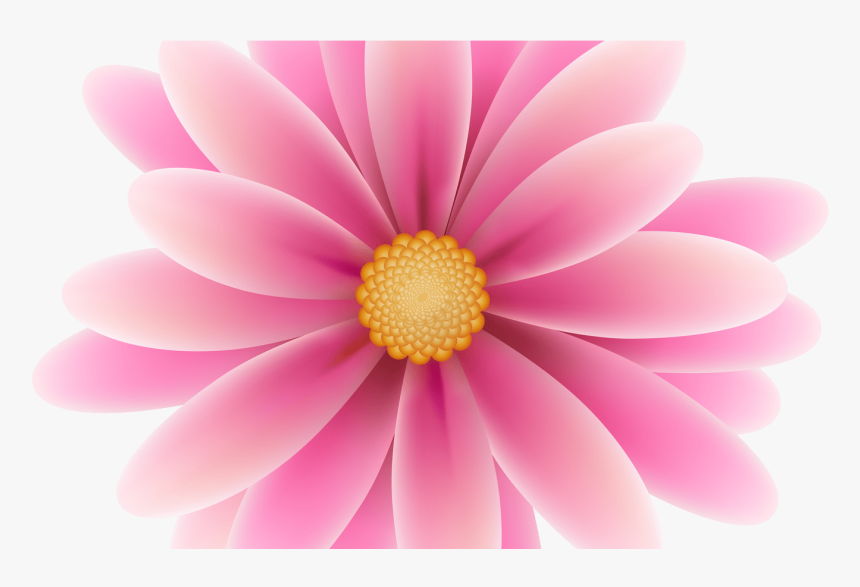 Daisy Clipart Flowerclip - Portable Network Graphics, HD Png Download
