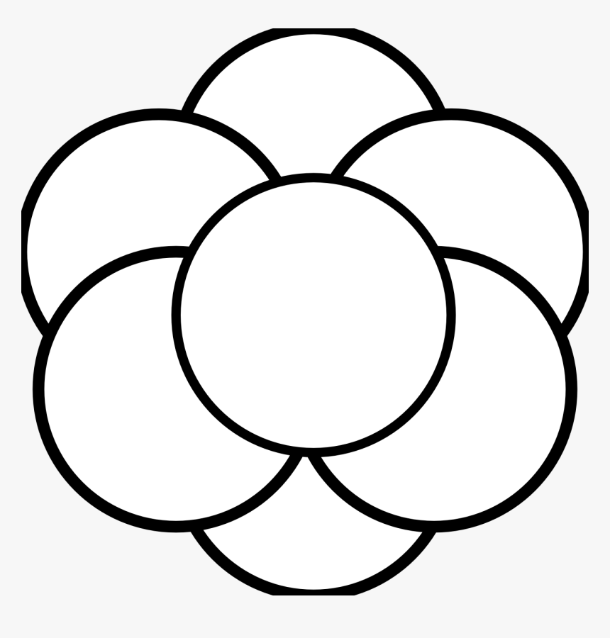 Daisy - Clipart - Black - And - White - Flowers Clip Art Black And White Adobe, HD Png Download