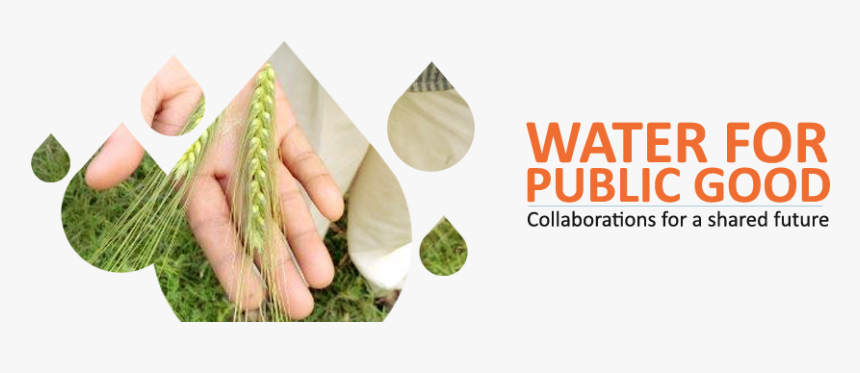 Leaf Vegetable, HD Png Download