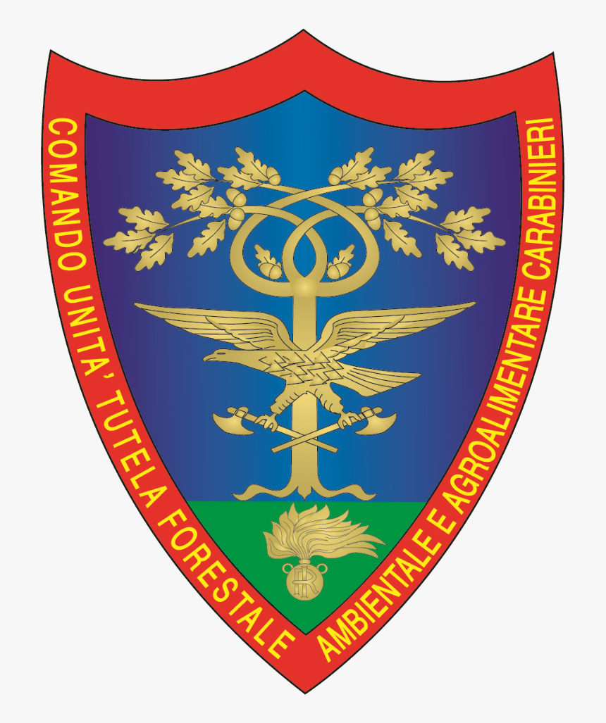 Arma Dei Carabinieri - Comando Carabinieri Tutela Forestale, HD Png Download