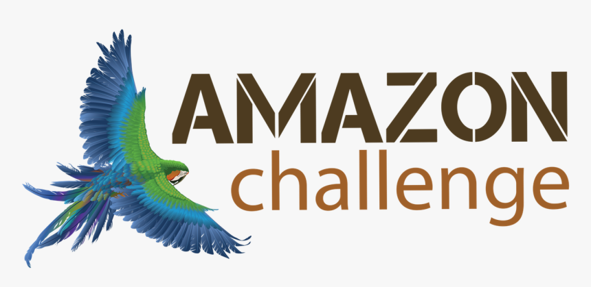 Transparent Amazon Logo Png Transparent - Black Mamba, Png Download