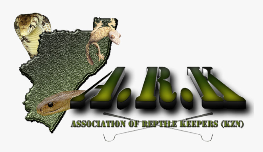 Agama, HD Png Download