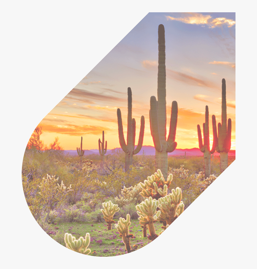 480 626 4711 Our Agents Are Available 24/7 - Desert Beautiful Phoenix Arizona, HD Png Download