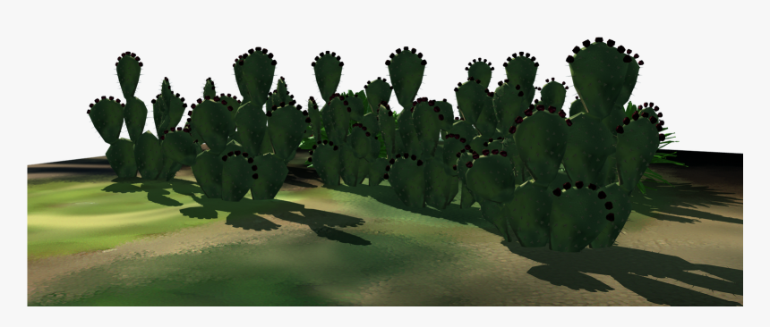 Some Desert Plants , Png Download, Transparent Png