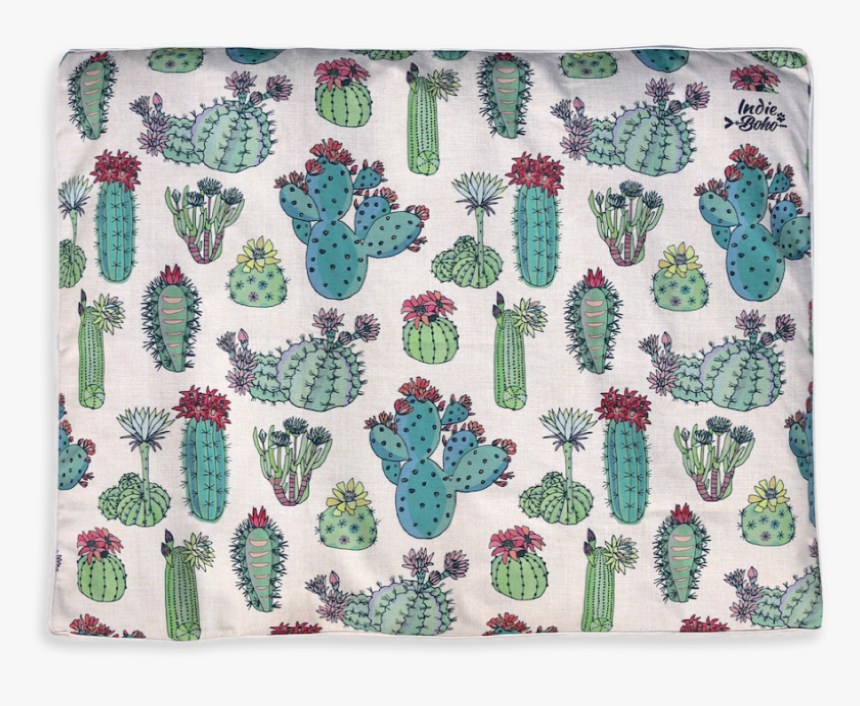 Cactus, HD Png Download