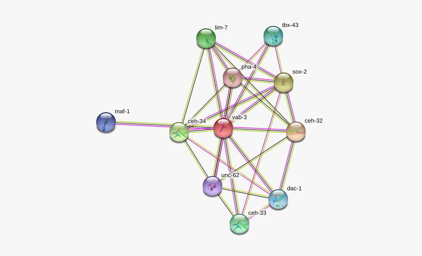 Vab-3 Protein - Circle, HD Png Download