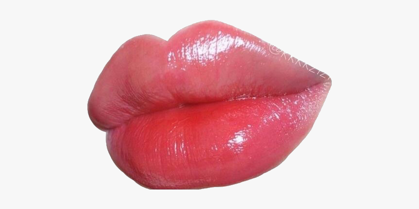 Image - Pngs For Niche Memes, Transparent Png