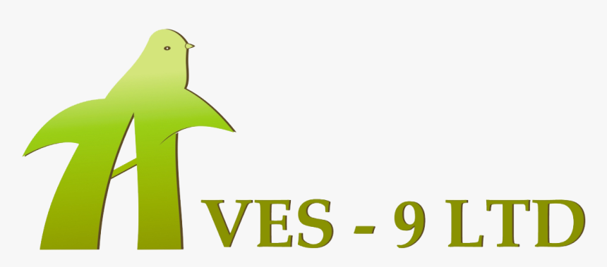 Transparent Aves Png, Png Download