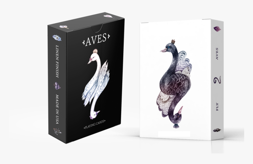 Aves Perspective Both Decks Mockup Png, Transparent Png
