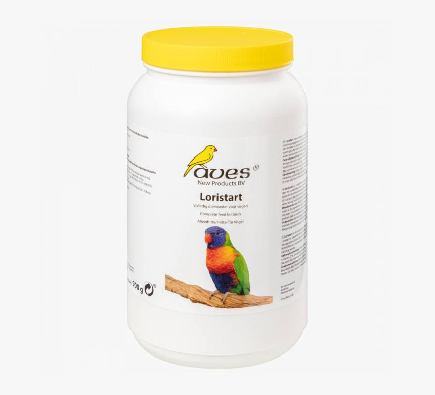 Lorikeet, HD Png Download