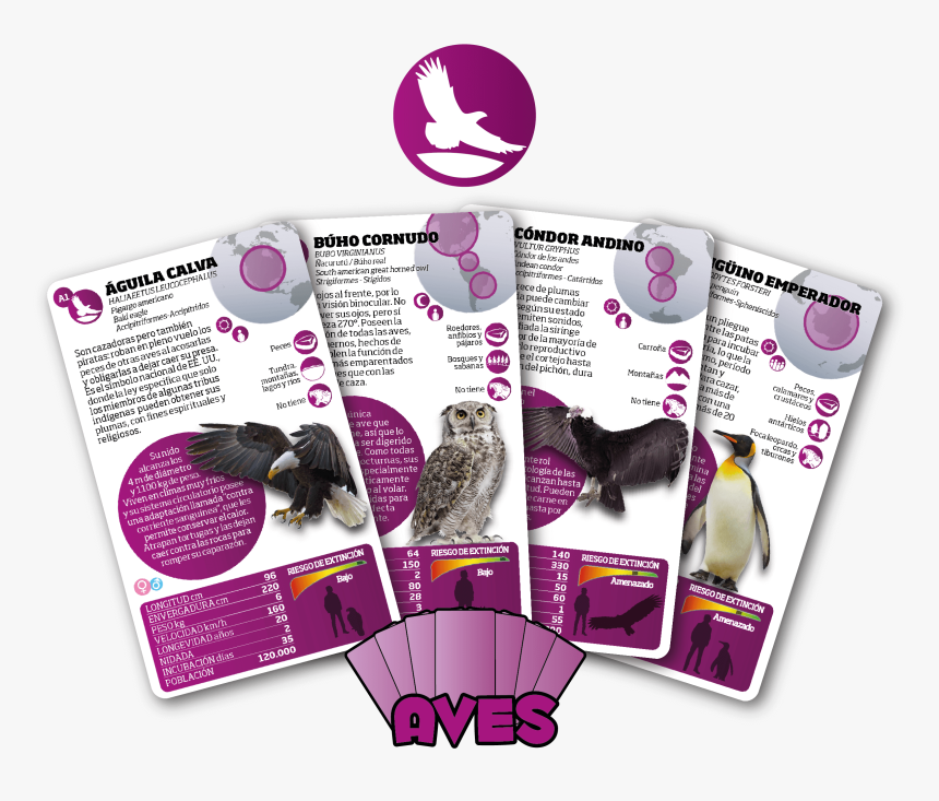 Flyer, HD Png Download