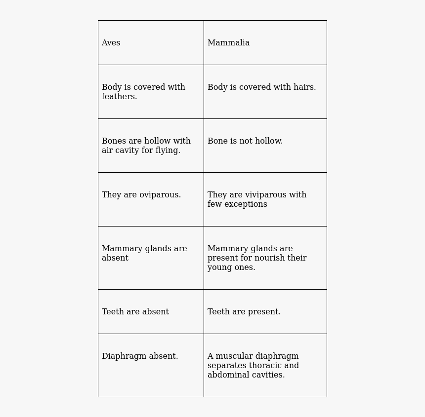 Document, HD Png Download