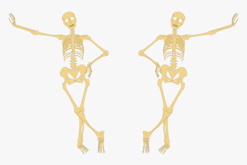 Skeleton Hand On Hip - Skeleton Hands On Hips, HD Png Download