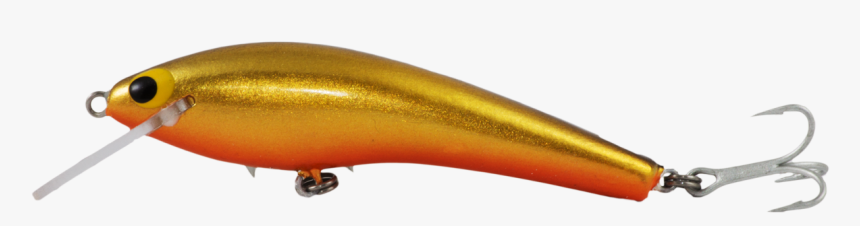 Fish, HD Png Download