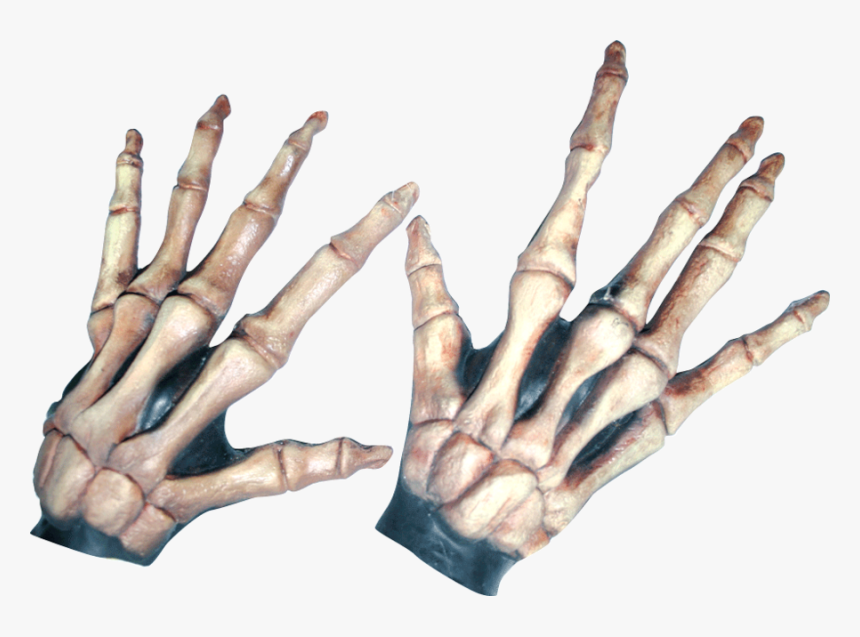 Large Skeleton Hands Bone Colored 
 Class Lazyload - Skelet Handsker, HD Png Download