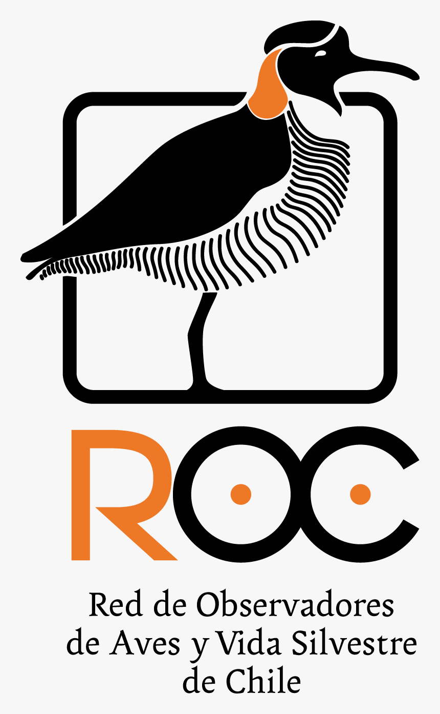 Red De Observadores De Aves De Chile, HD Png Download
