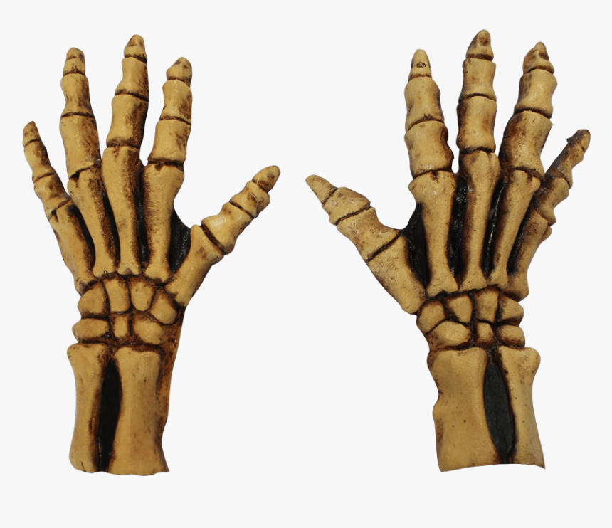 Bone Skeleton Gloves - Full Skeleton Gloves, HD Png Download