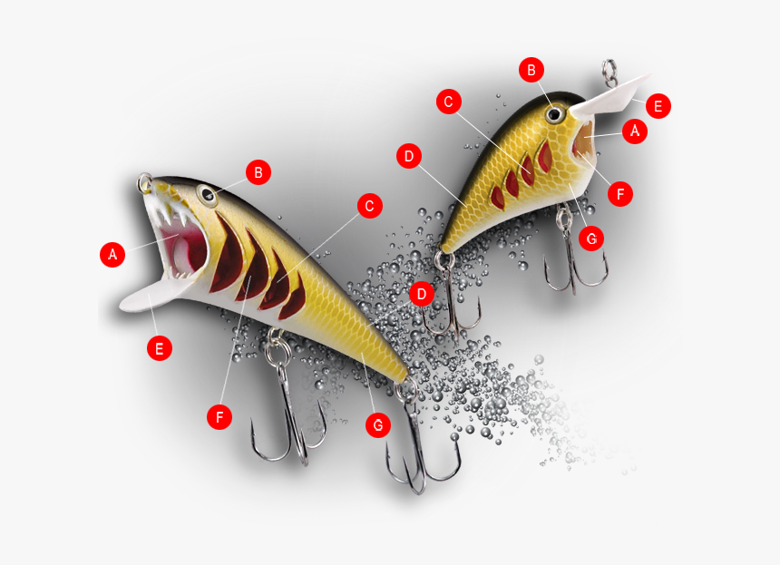 Pirana Fishing Lure Features, HD Png Download