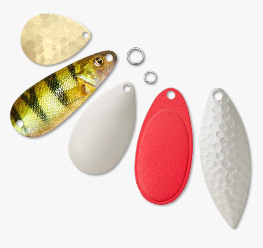 Earrings, HD Png Download