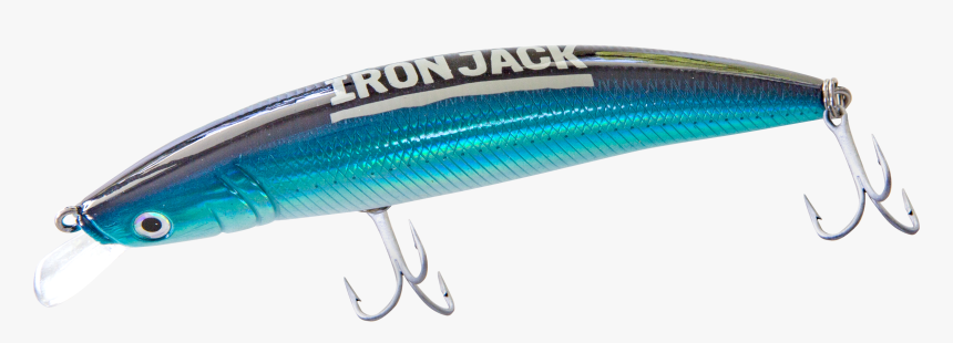 Wrasses, HD Png Download