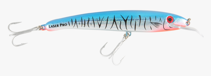 Bait Fish, HD Png Download
