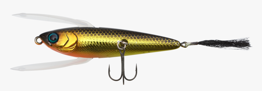 Bait Fish, HD Png Download